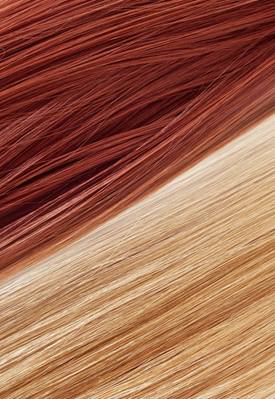 Educational Resources: Hair Principles and Fundamentals | Redken