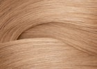 Redken 2022 Shades EQ Champagne Digiswatch 10GRO 1000x1000