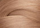 Redken 2022 Shades EQ Champagne Digiswatch 9GRO 1000x1000