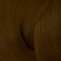 Cocoa Bean