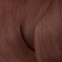 Maple