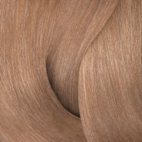 Chesnut
