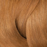 Golden Apricot 
